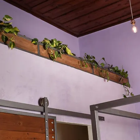 Favela Living Space