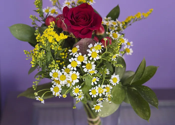 Favela Living Space 4* La Canée