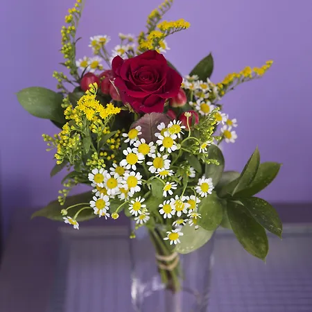 Favela Living Space 4* خانيا