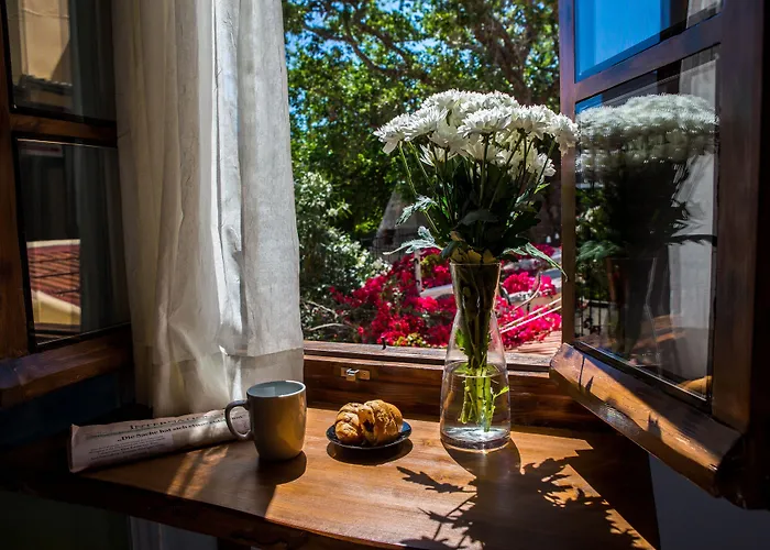 Favela Living Space 4*